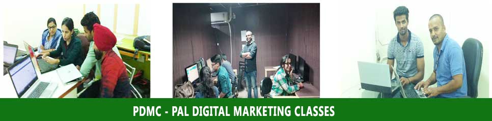 Pal digital marketing Google Analytics training